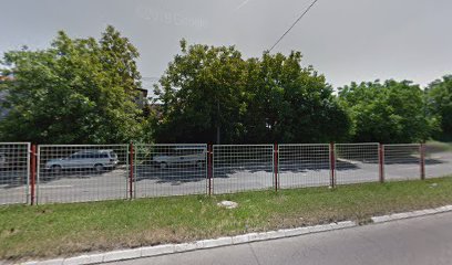 Veselina Čajkanovića