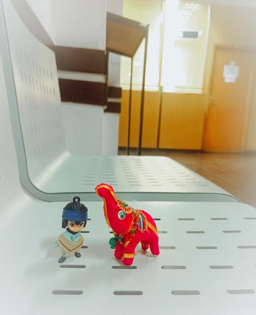 Републички фонд за здравствену заштиту | испостава Палилула