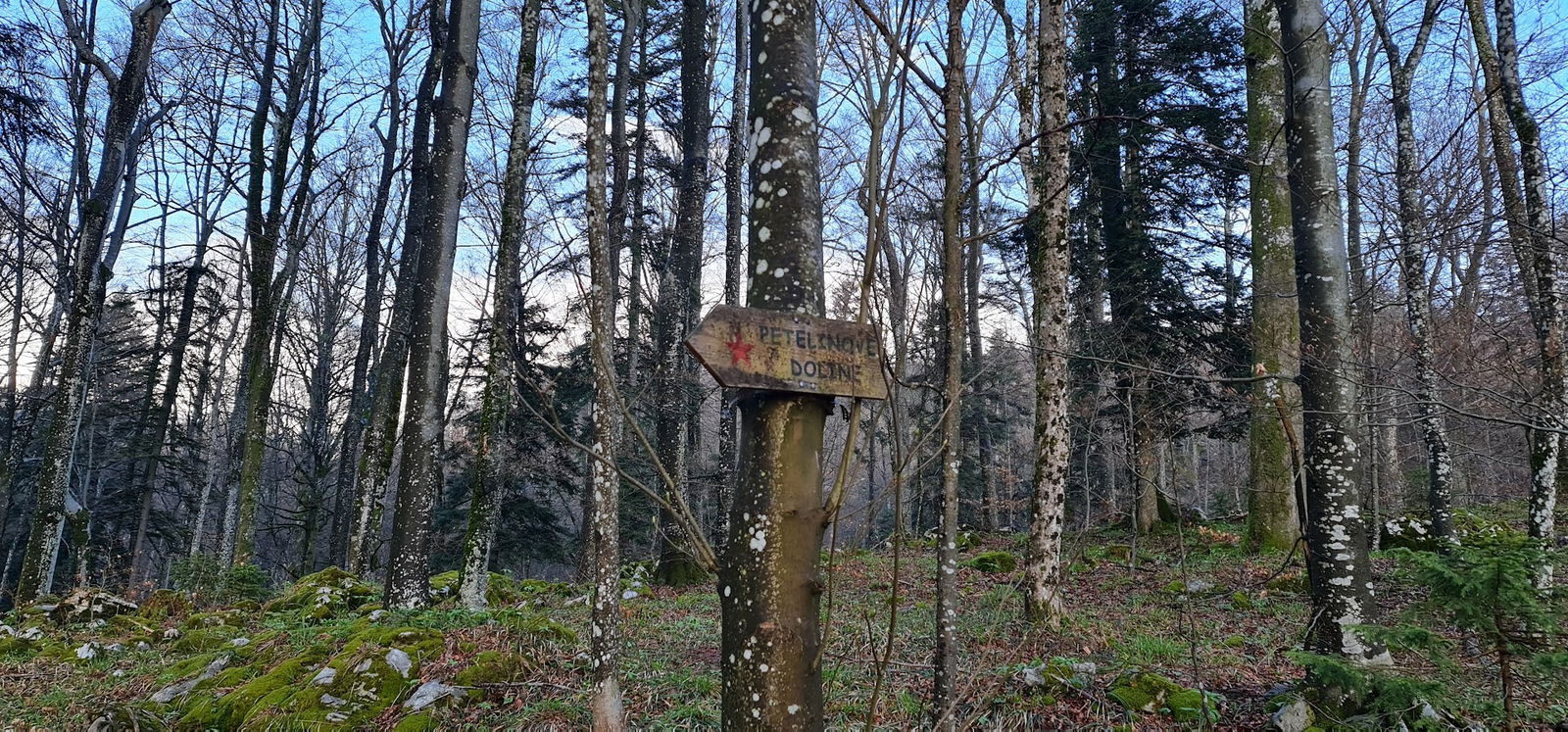 Petelinove doline