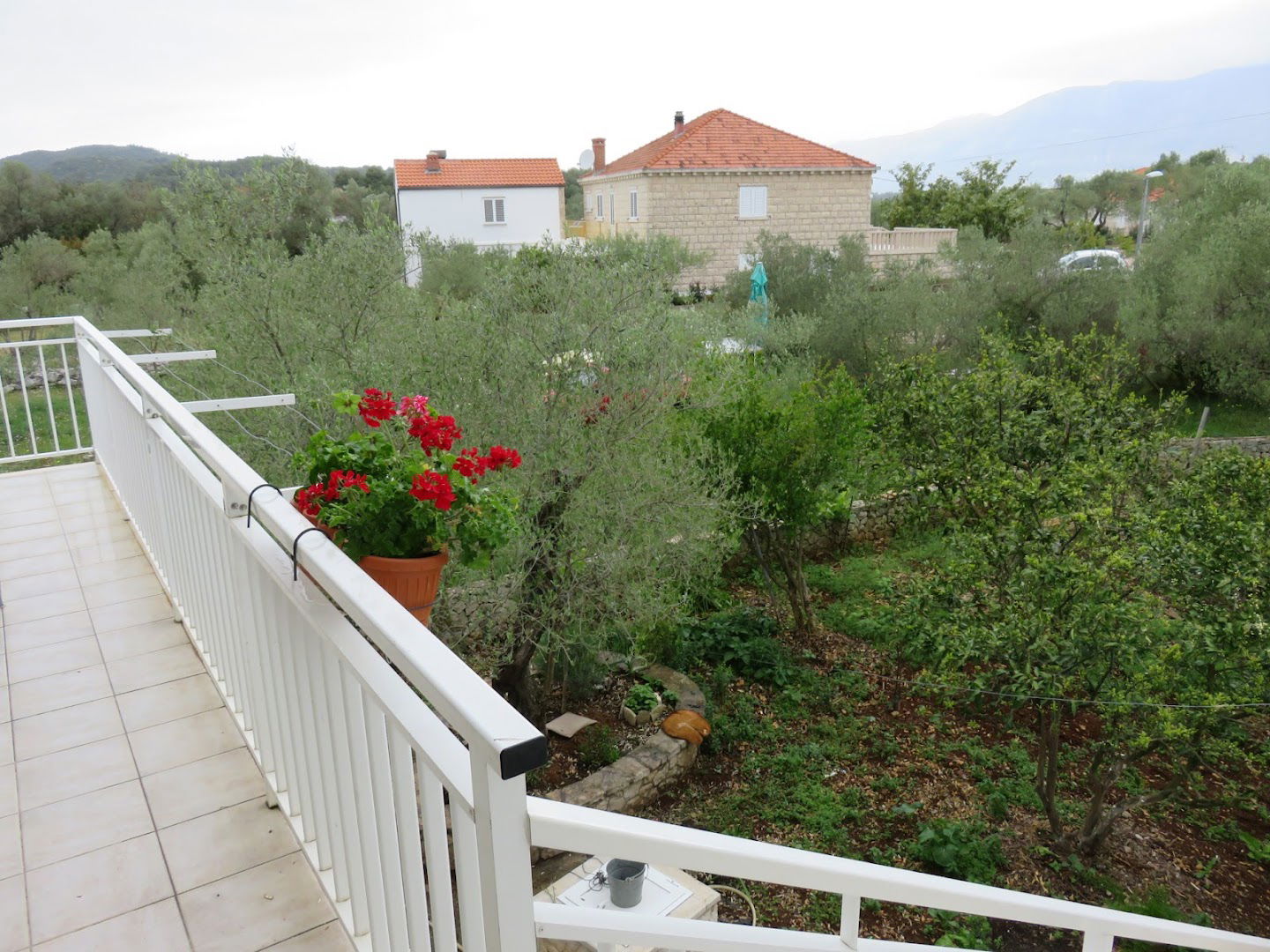 Olive tree apartments