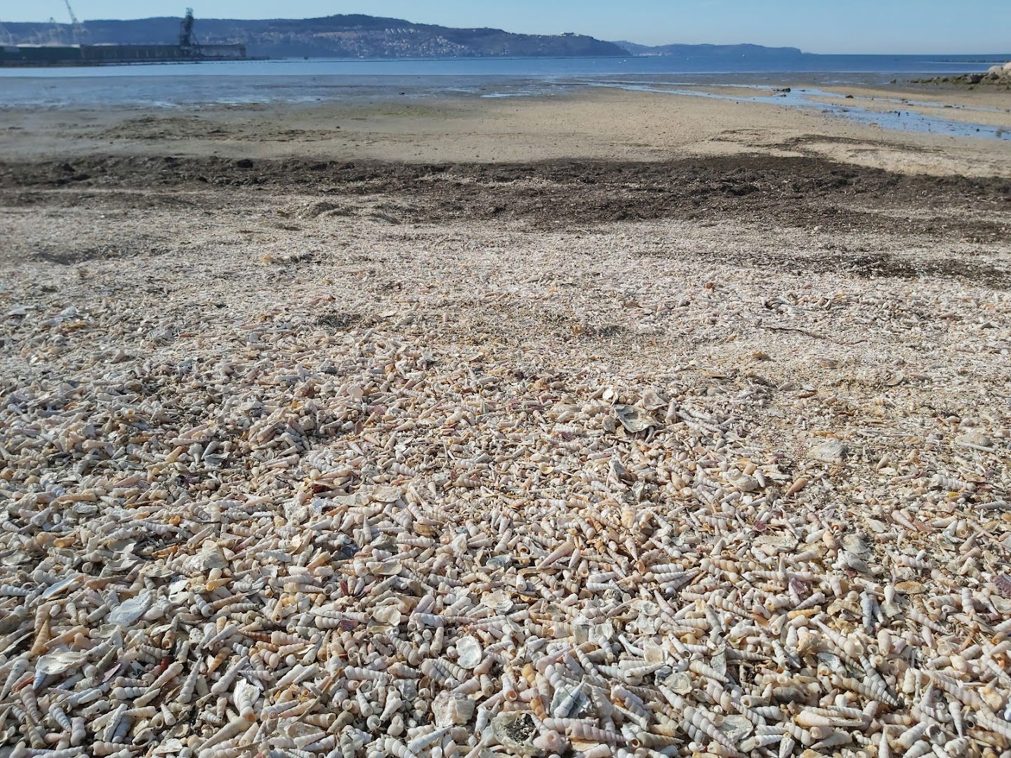 Pokopališče školjk