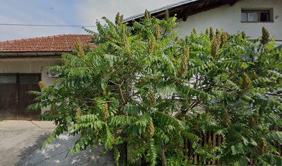 Mesnica Malina Mandić