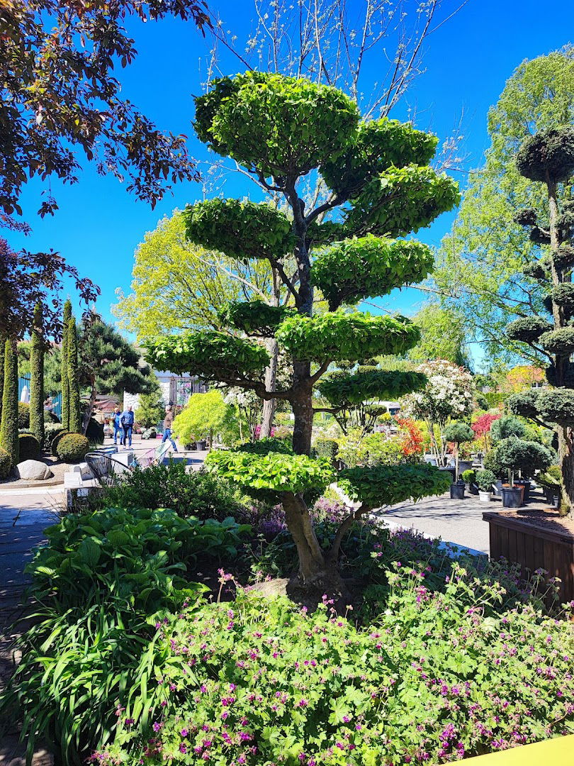 Fantasy Garden - Uređenje Dvorišta