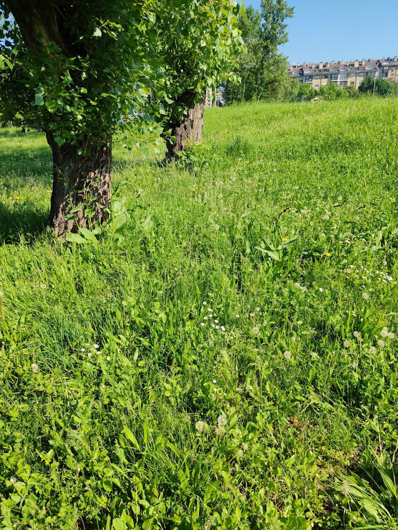 Parking Roštilj Savica