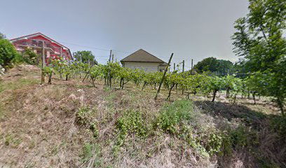 Športno društvo Podgorci