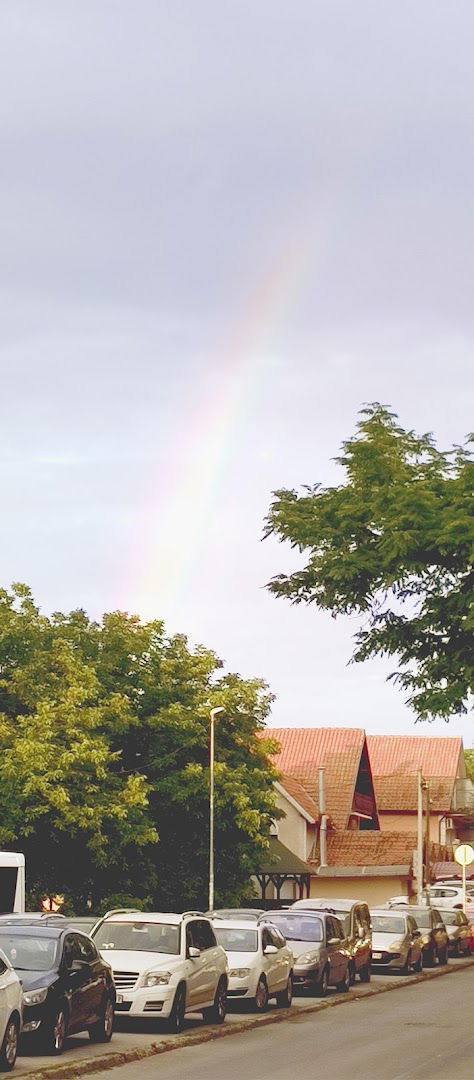 Окретница аутобуса Нови Железник
