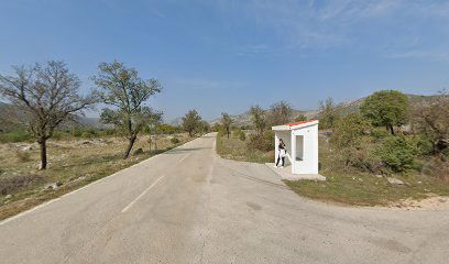 PRIMORSKI DOLAC BALOVI 1