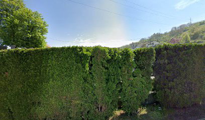 Groblje sv. Ilija, Požega