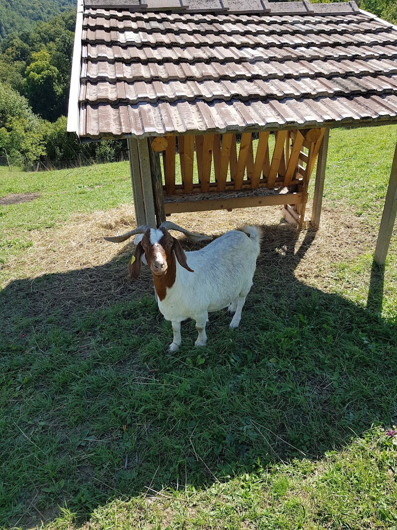 Avtoprevozništvo Jože Brili s.p.