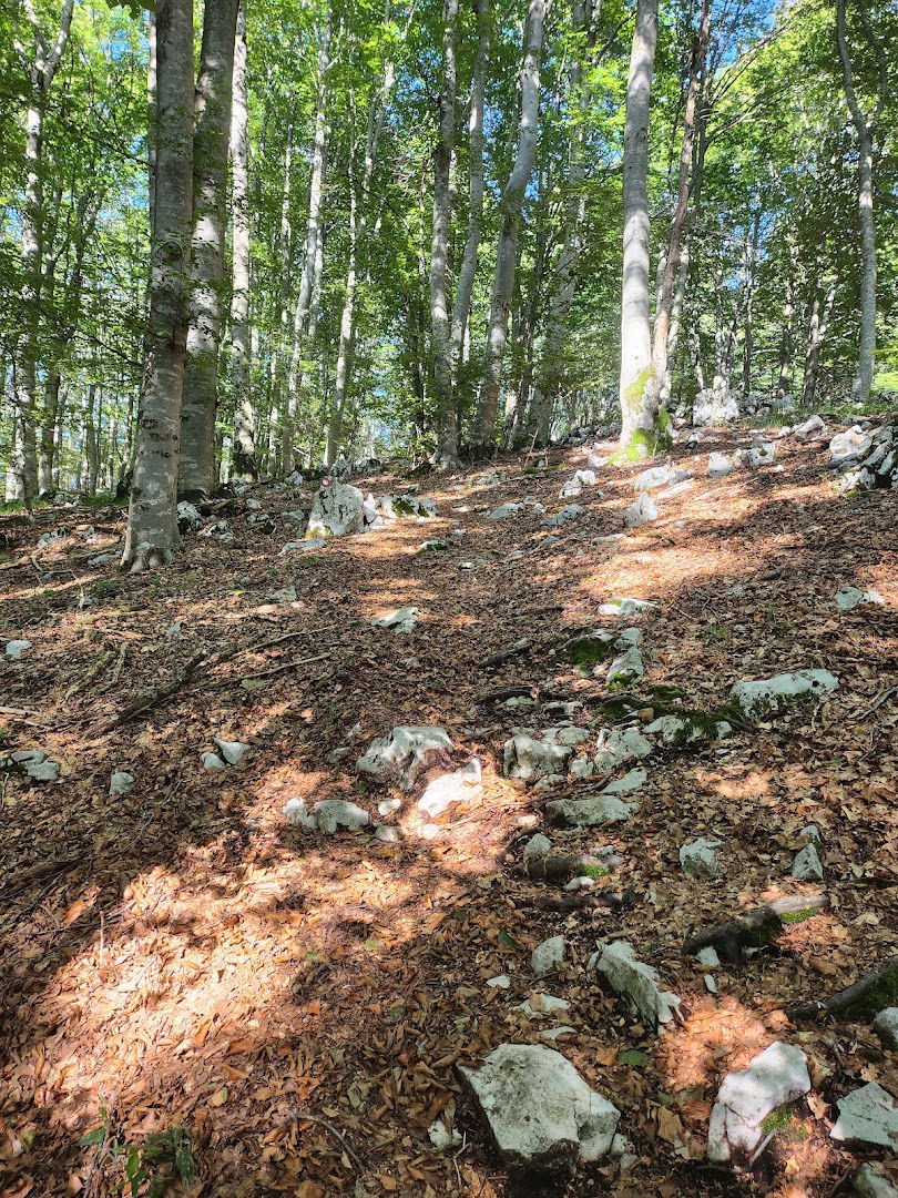 Županj vrh - planinarski vrh