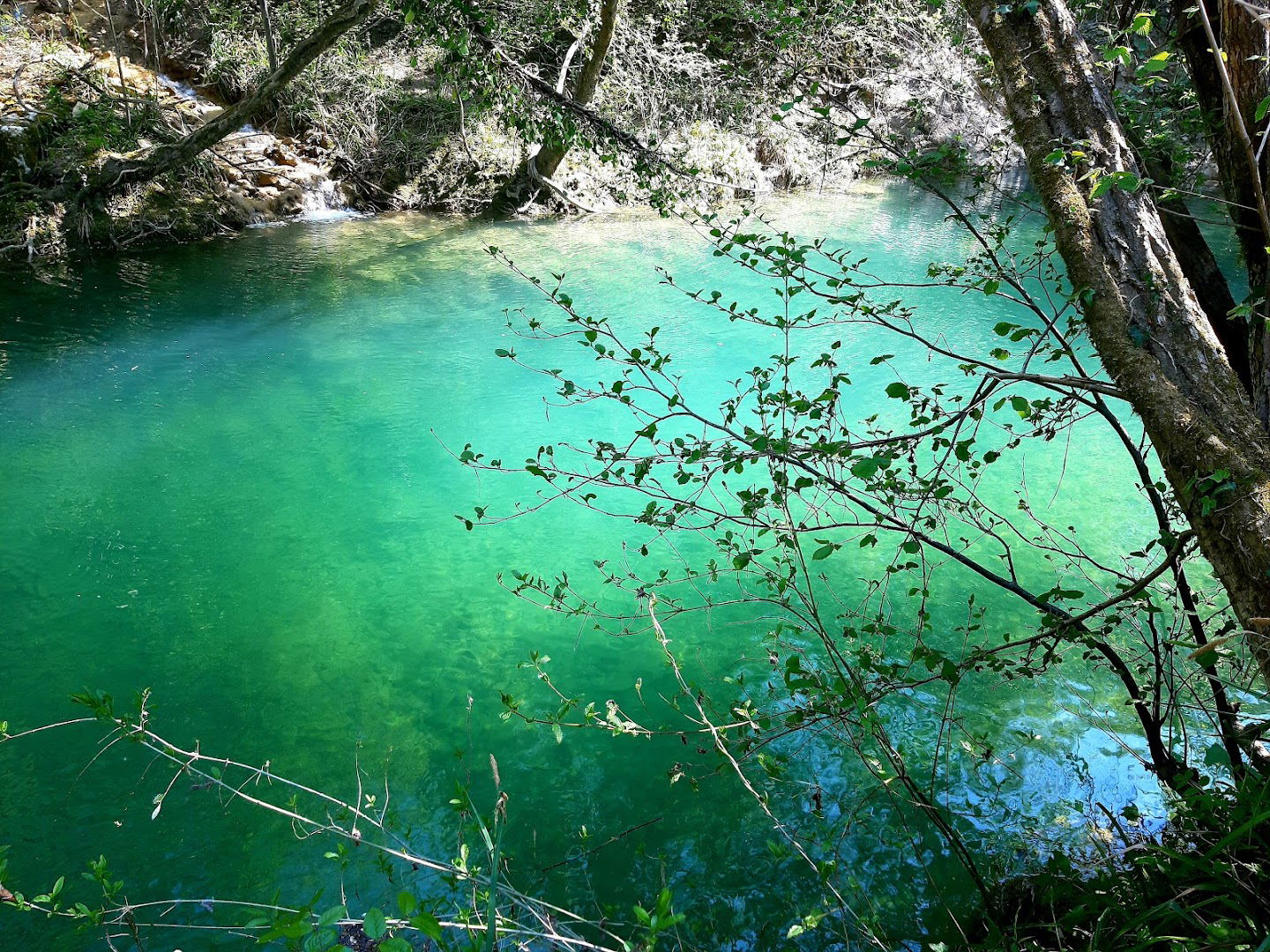 Parco Naturale del fiume Dragogna