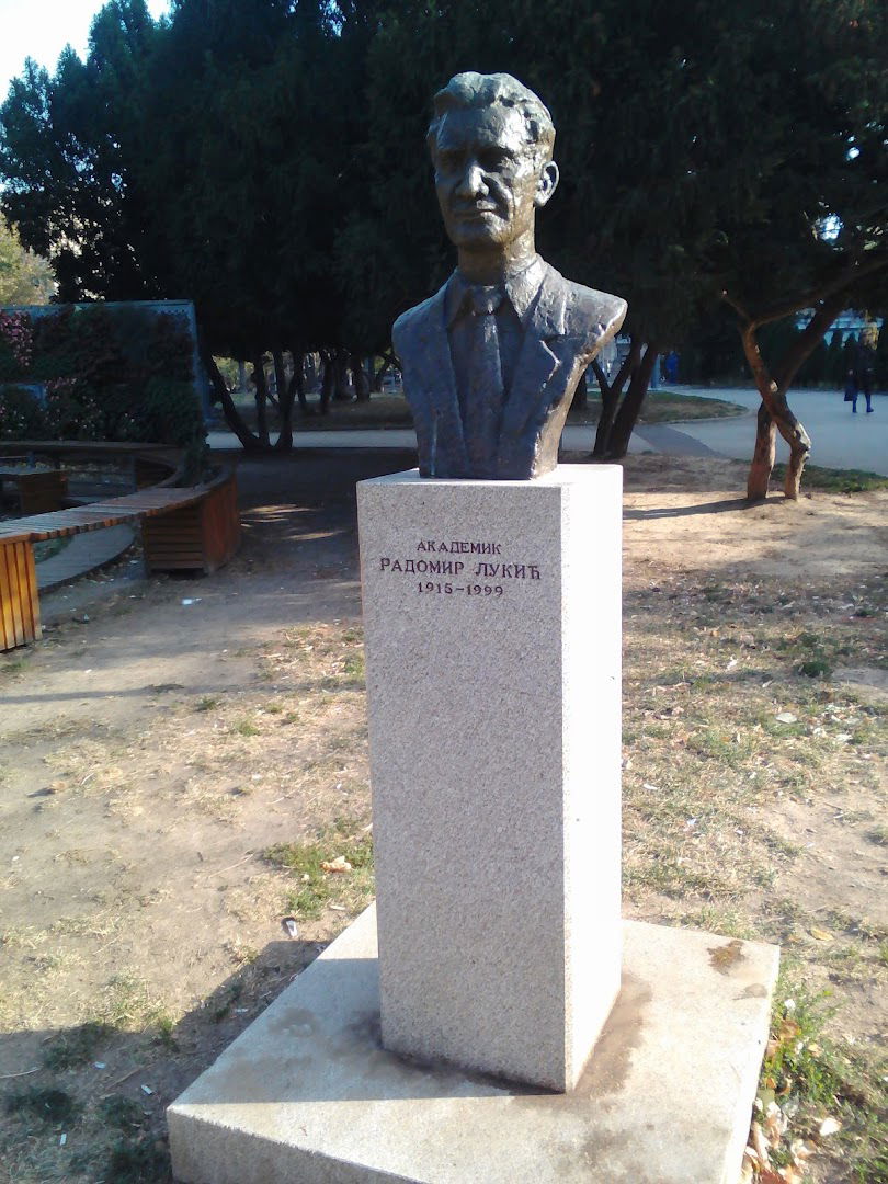 Radomir Lukić Monument