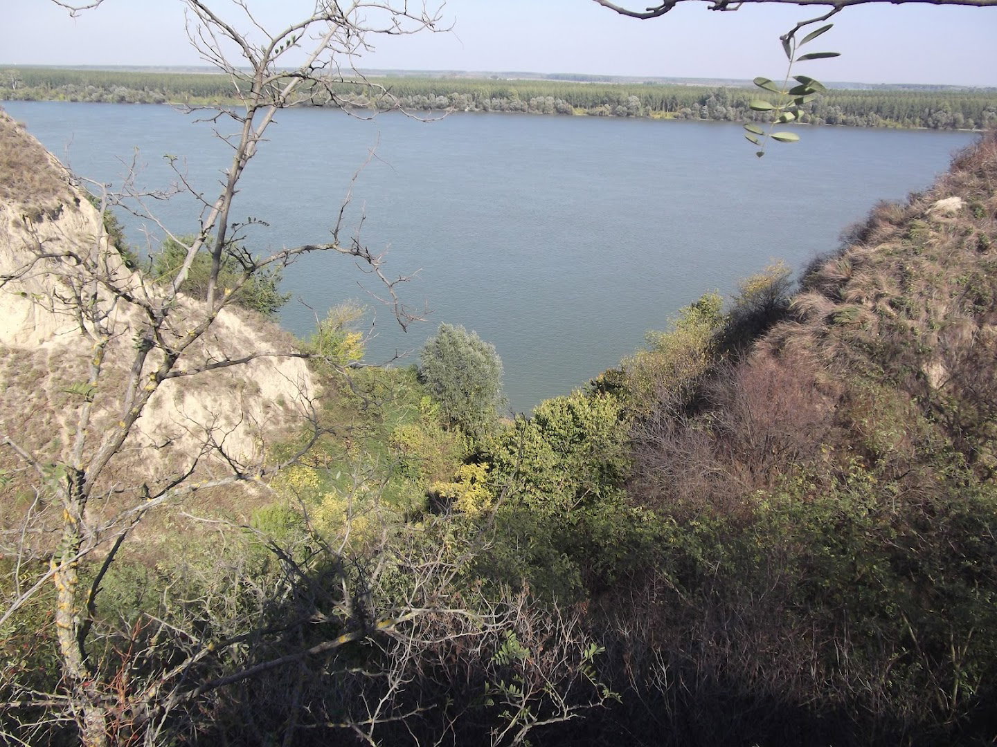 Belegiski usek (surduk)