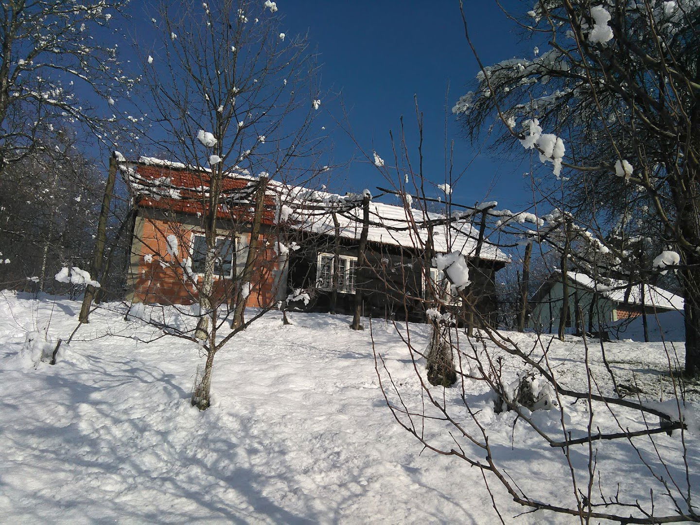 RAJSKA PTICA D.O.O. ZA TRGOVINU I USLUGE