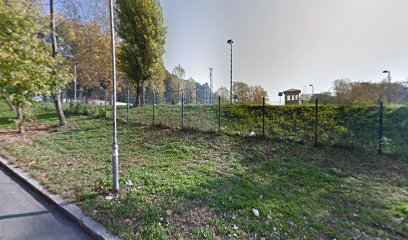 FCA Performance Training