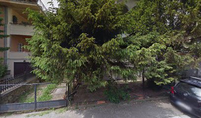 Osnovna Montesori Škola