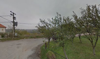 Окретница аутобуса "Зуце" лин. 403