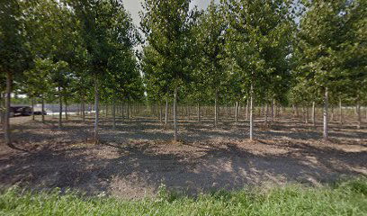 Azienda Agricola Casali Casenove