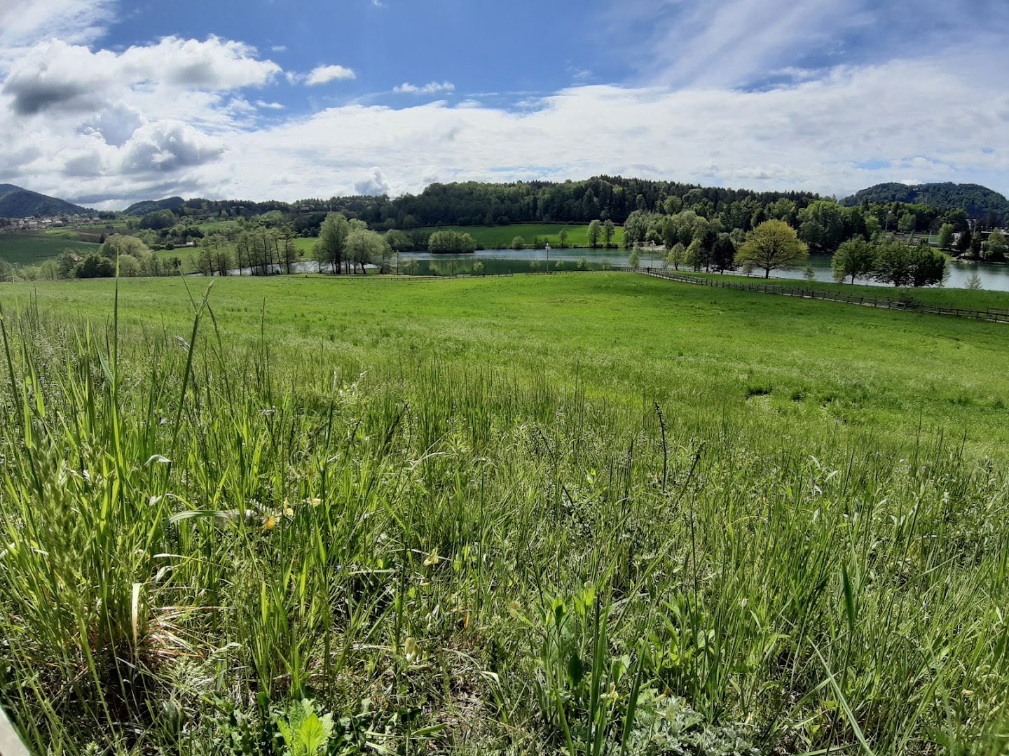 Konjeniški klub Velenje