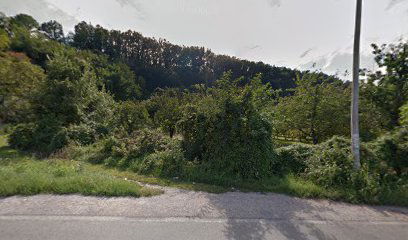 Brestovik - Vikend naselje