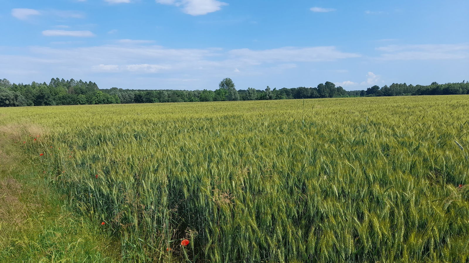 Società Agricola Pradis