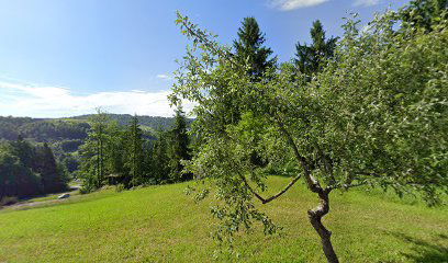 Poslovno svetovanje, Rok Koželj s.p.