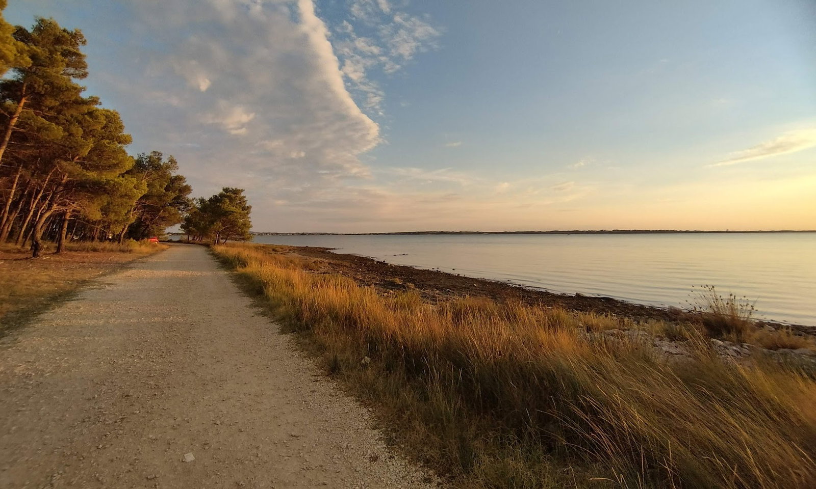 Plaža i šuma, Punta Velebit