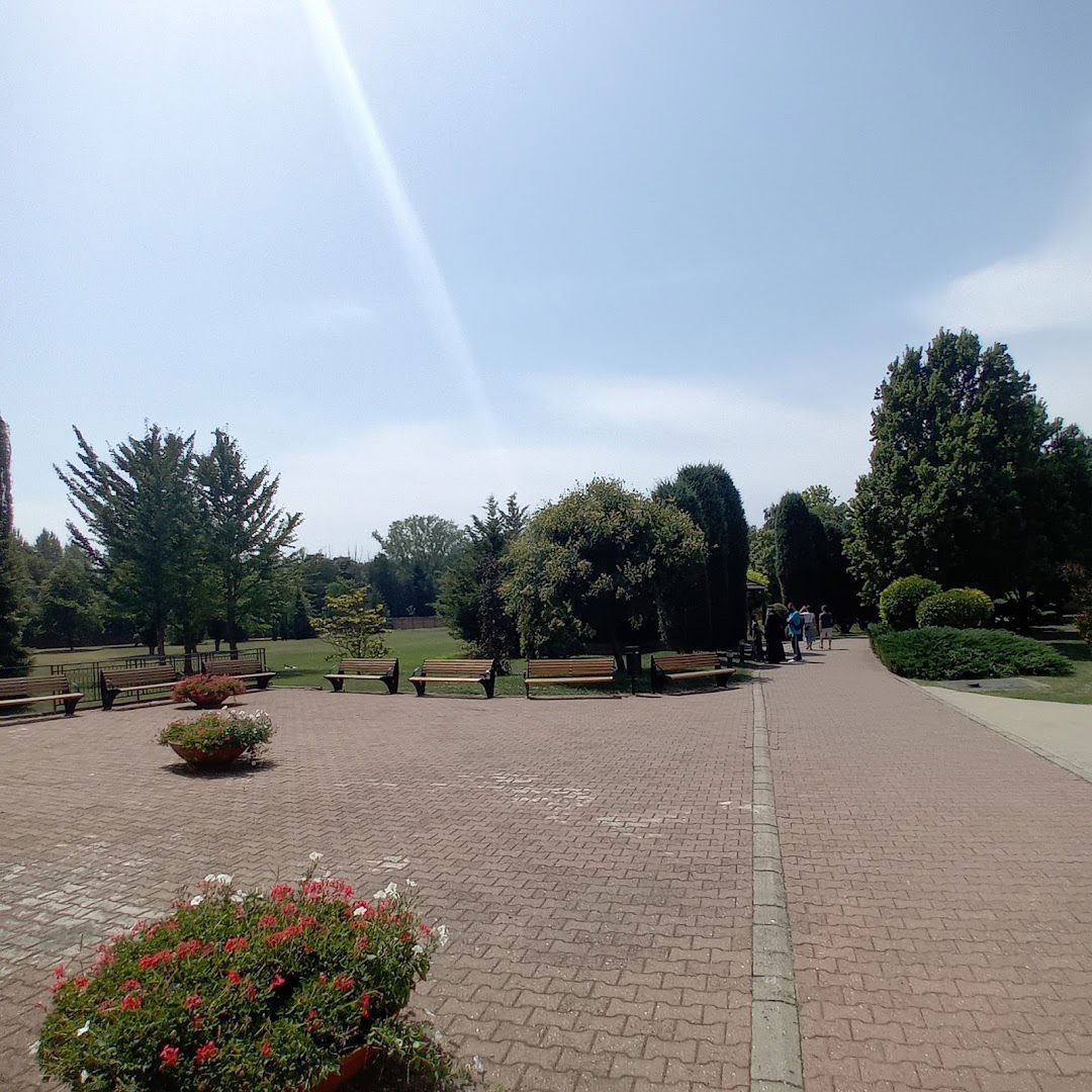 Ковиљско-петроварадински рит