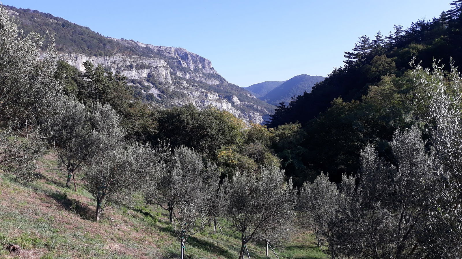 Parkirišče - Parking