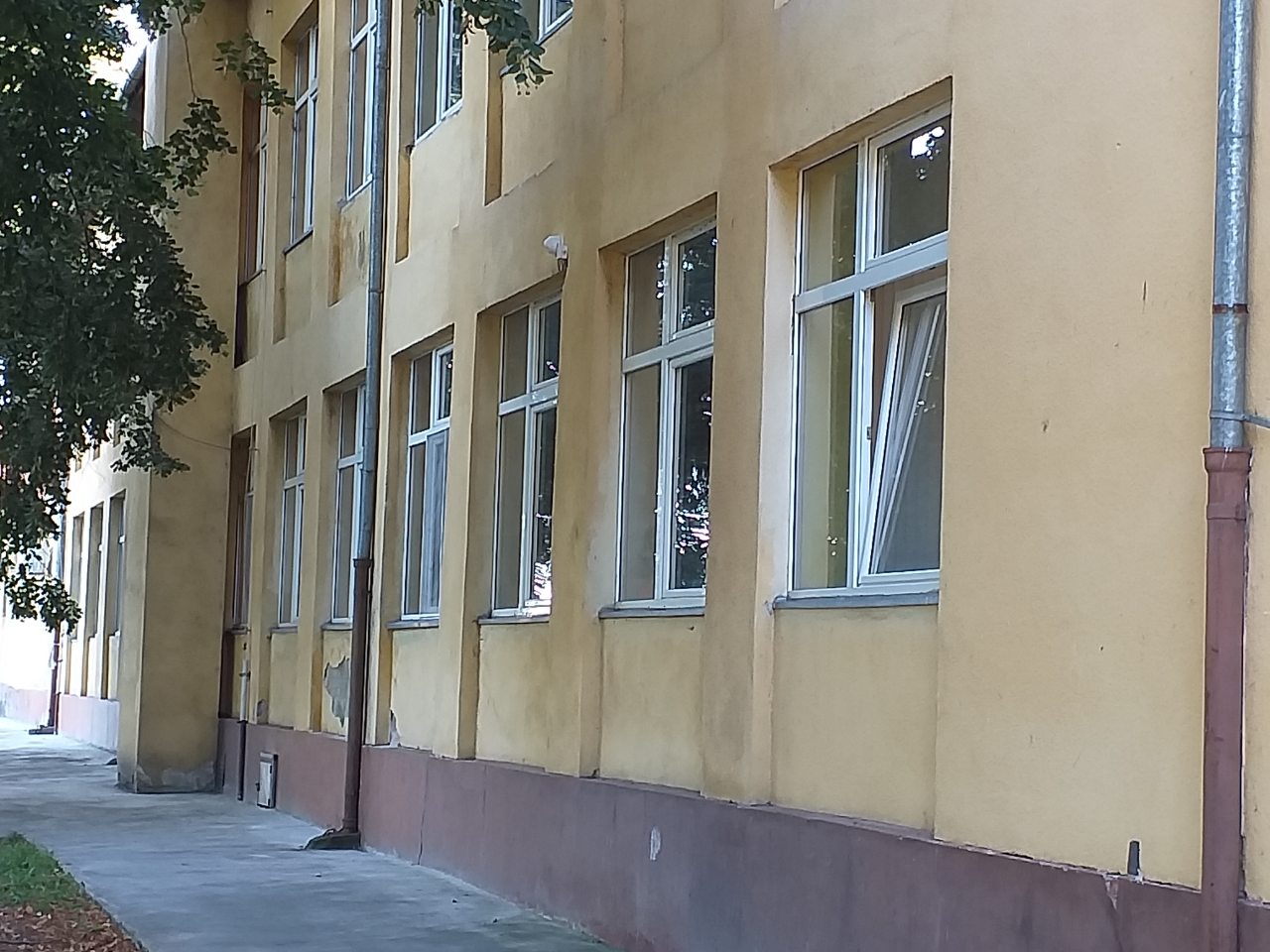 Škola "Zoran Petrović"