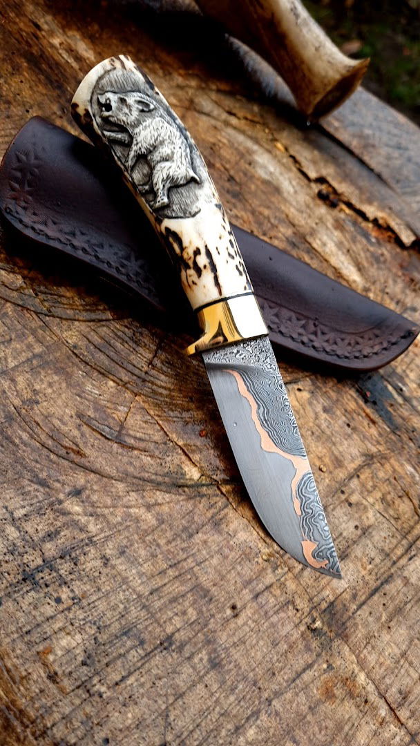 Saša Trkulja Kovač