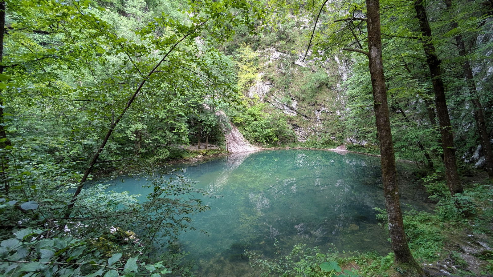 Divje jezero