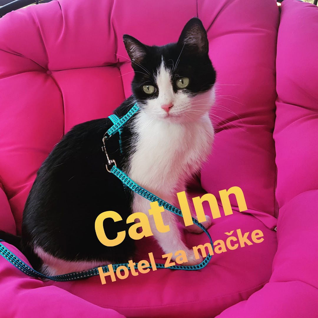 Hotel za macke Cat Inn Beograd