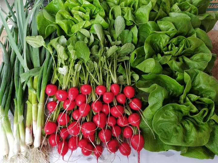 Poljoprivredno gazdinstvo "Garafijat Jan"