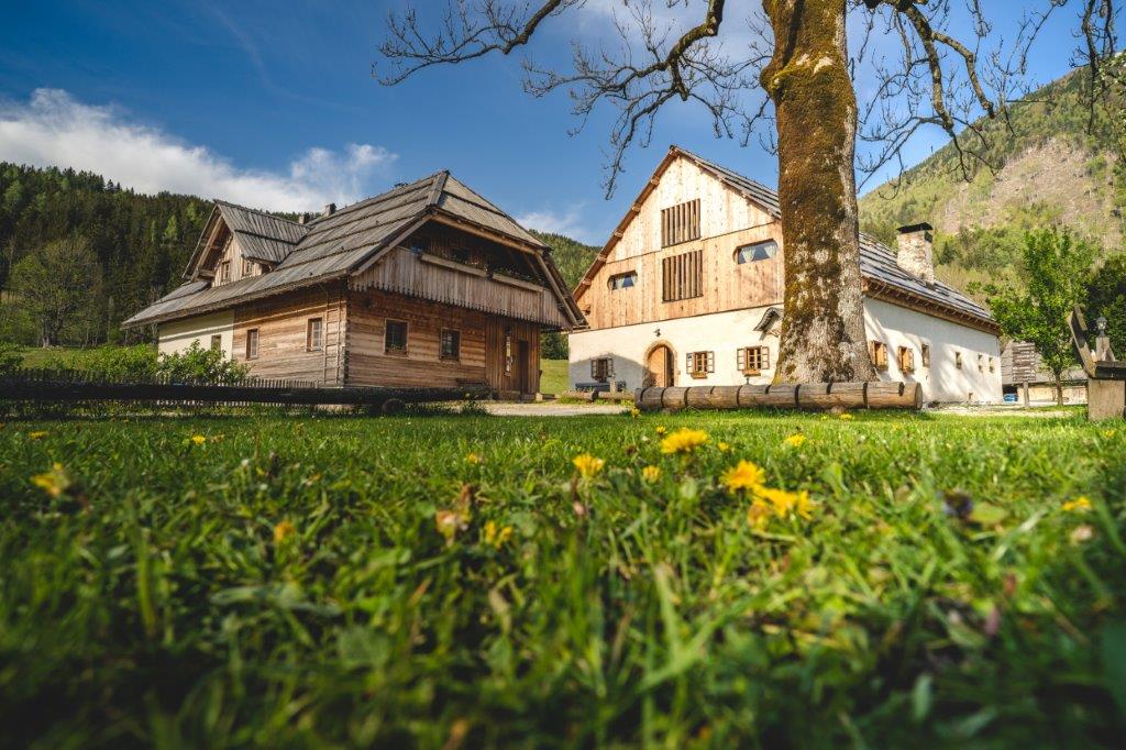 Tourist farm and camp Šenkova domačija - Jezersko