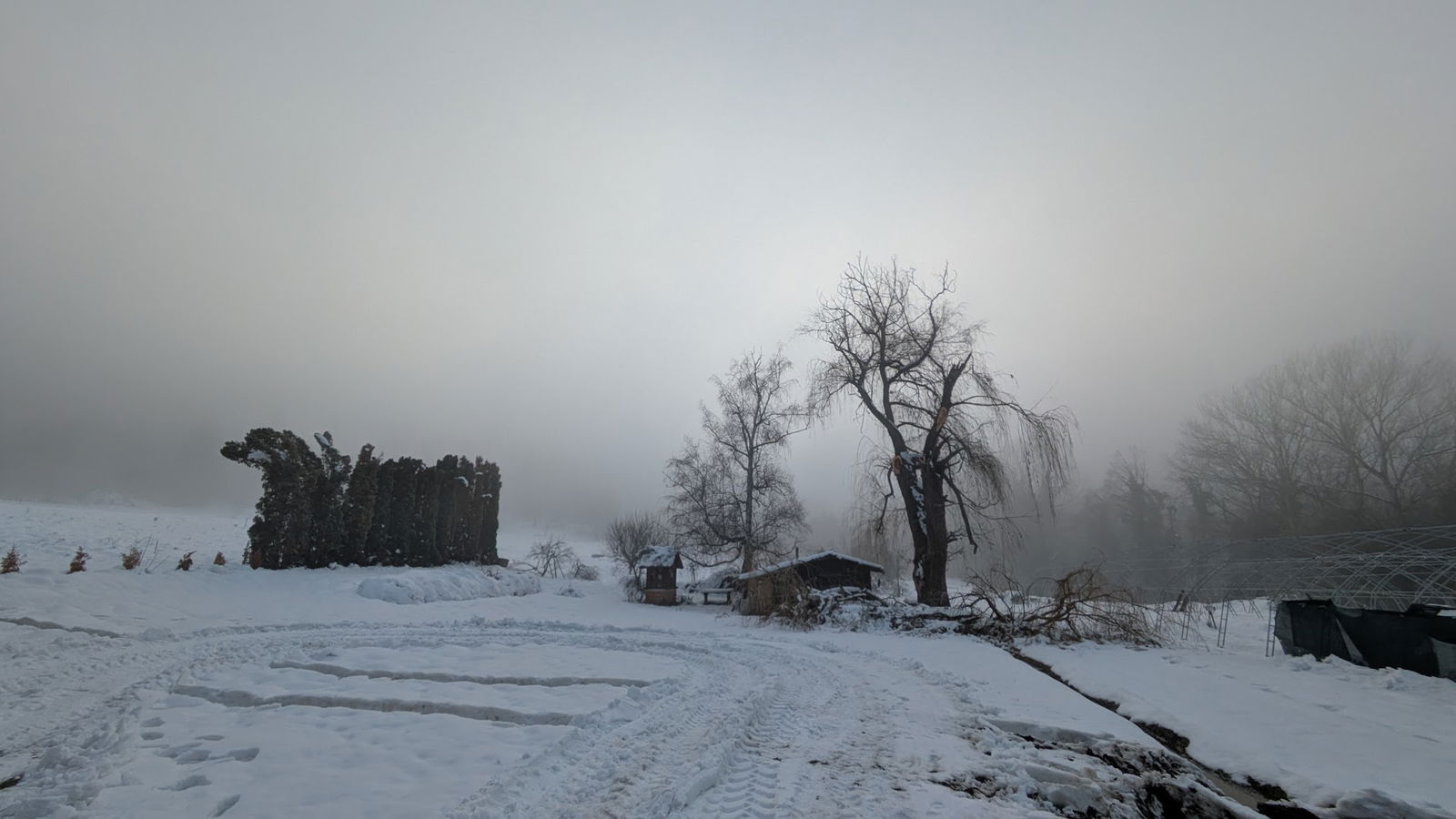 Rasadnik NP FRUŠKA GORA
