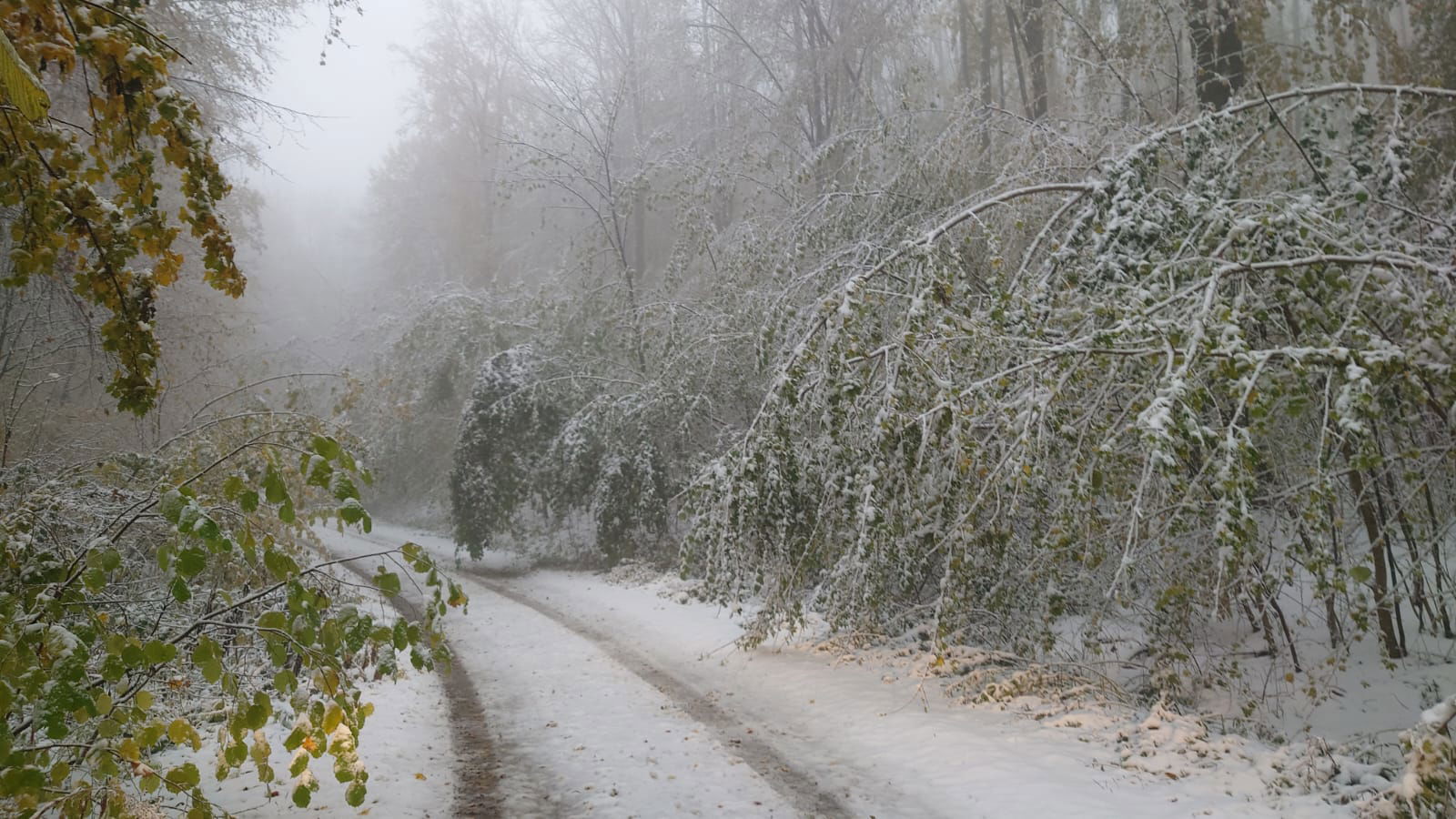 Primăria Cărbunari