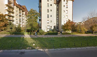 Patrijarha Joanikija 20a