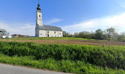 Crkveno groblje Novi Pavljani