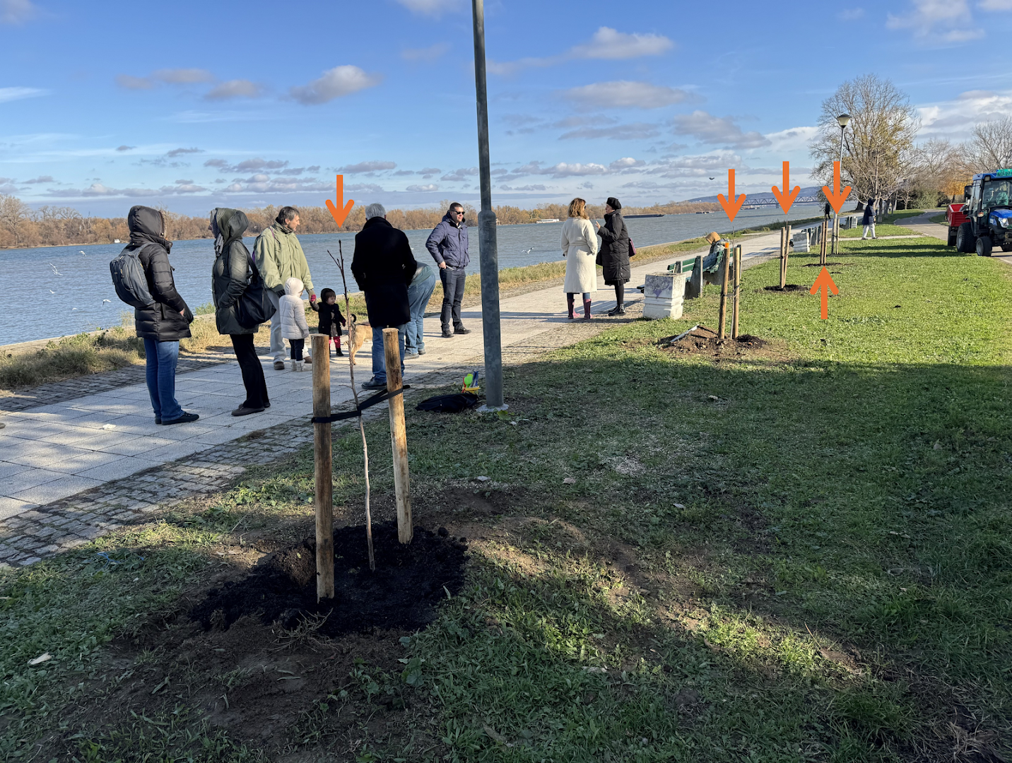 Drvored Laboratorije za eksperimentalnu psihologiju