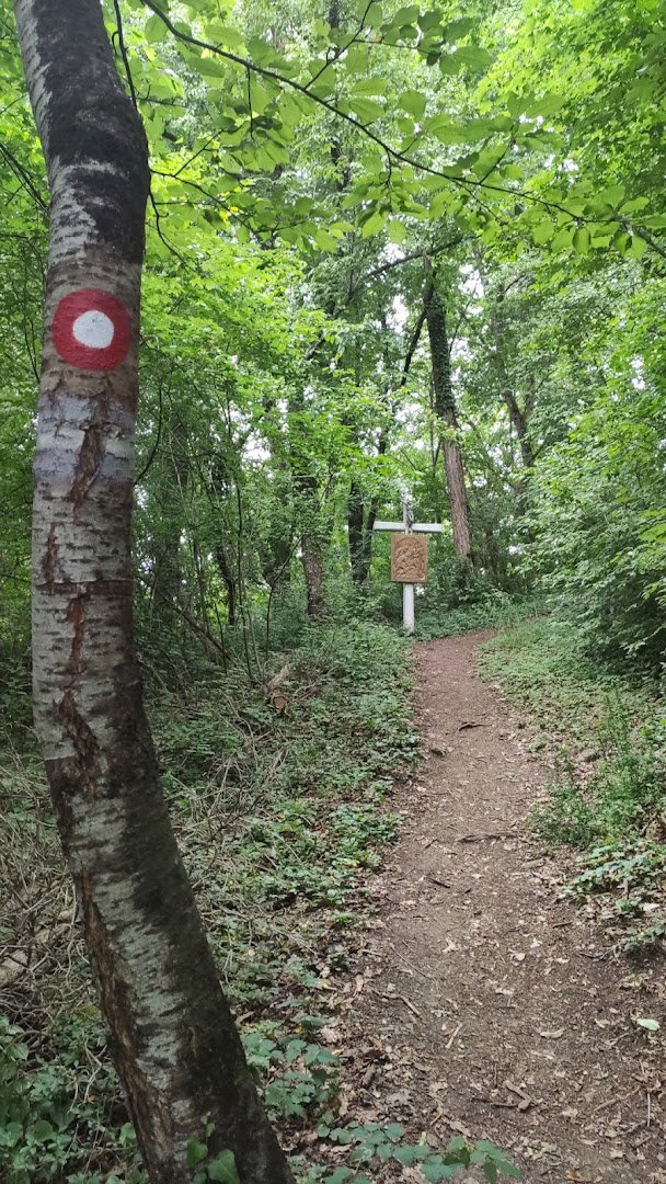 Križni Put Kunagora