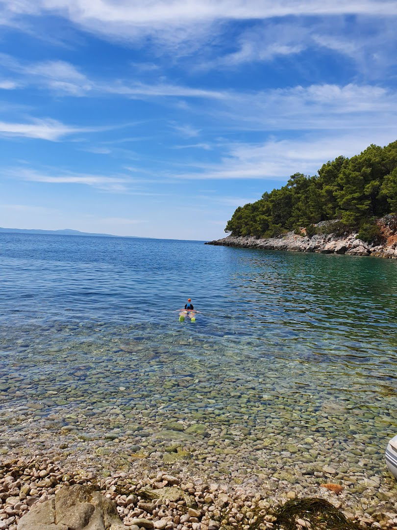 Tiha - Cove - Curin's