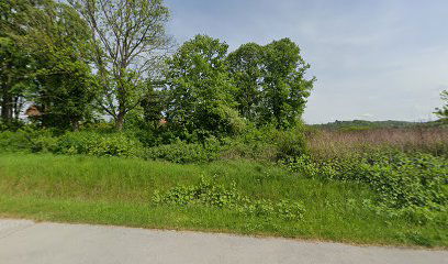 Virovitica German cemetery
