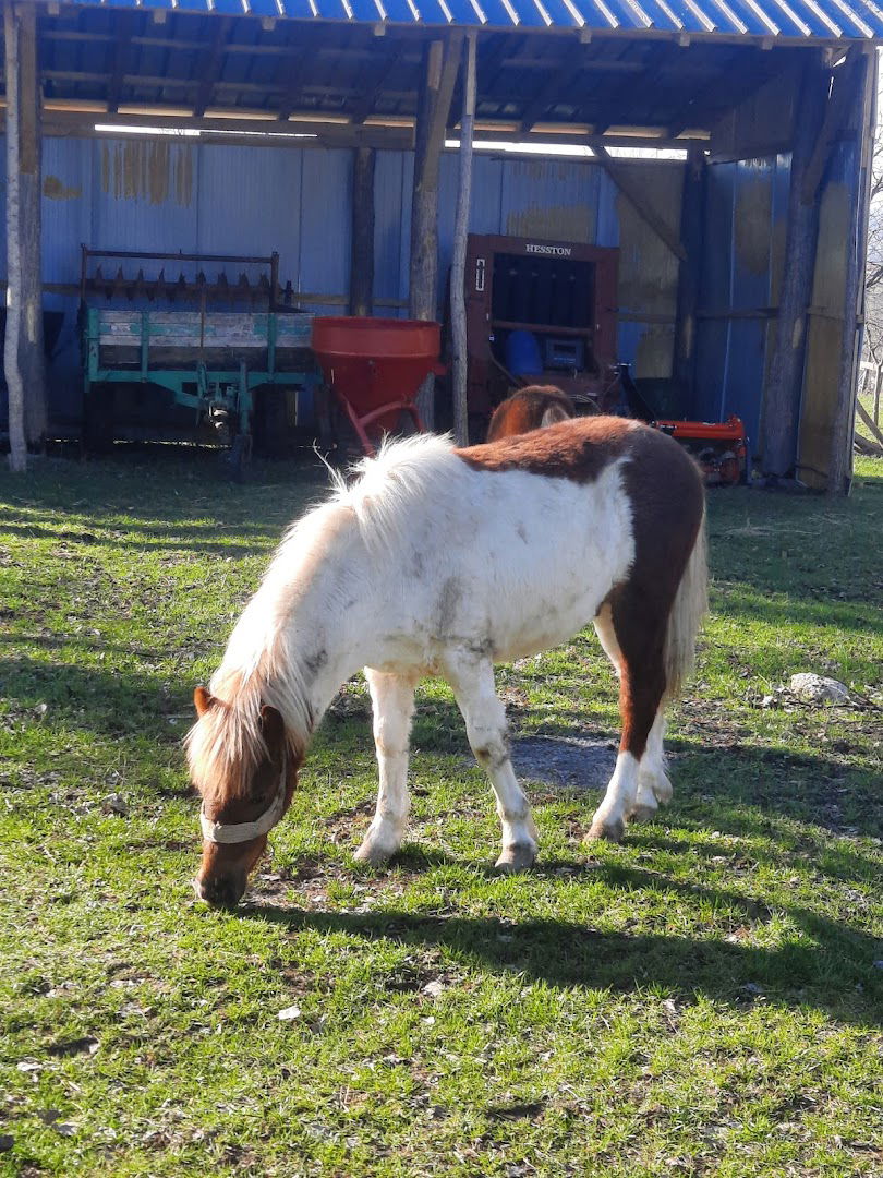 Poljoprivredno Gazdinstvo Matić