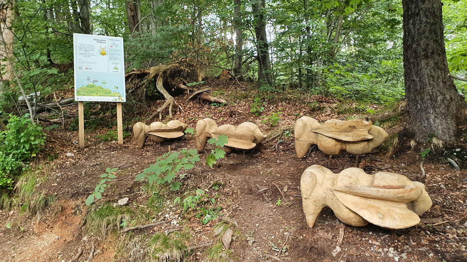 Kranjska čebela