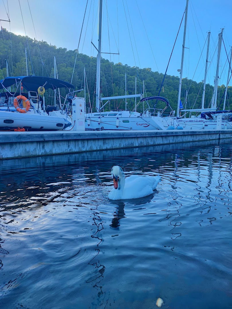 MILAS MILAN, dr. spec. internist