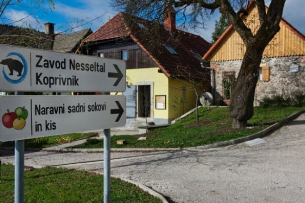 Zavod za ohranitev kulturne dediščine Nesseltal Koprivnik