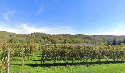 Konjički Klub Konji Gizdavi