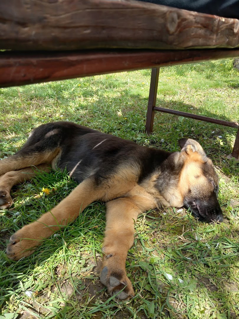Primary School Ilija Birčanin