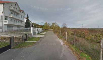 Auto Service System Nikolić